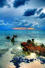 Cayman Islands Reef