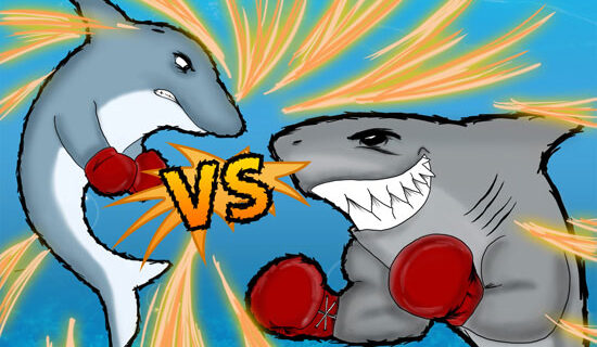Shark vs Dolphin