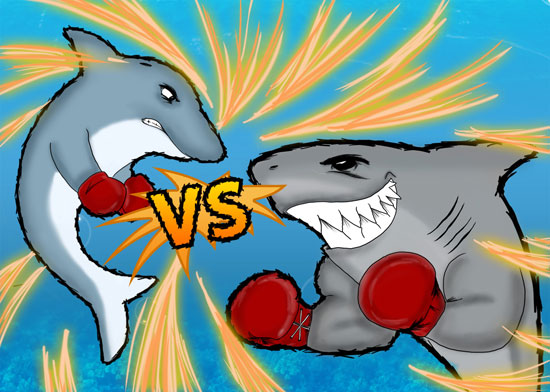 Shark vs Dolphin