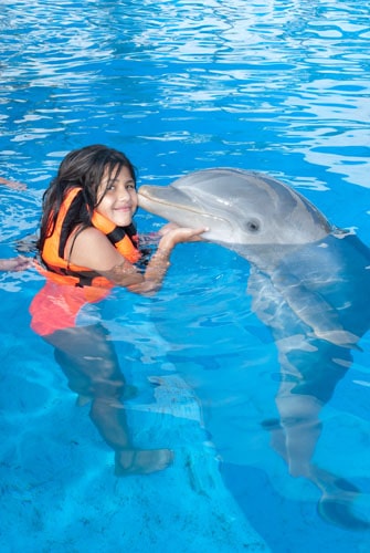dolphin Kiss