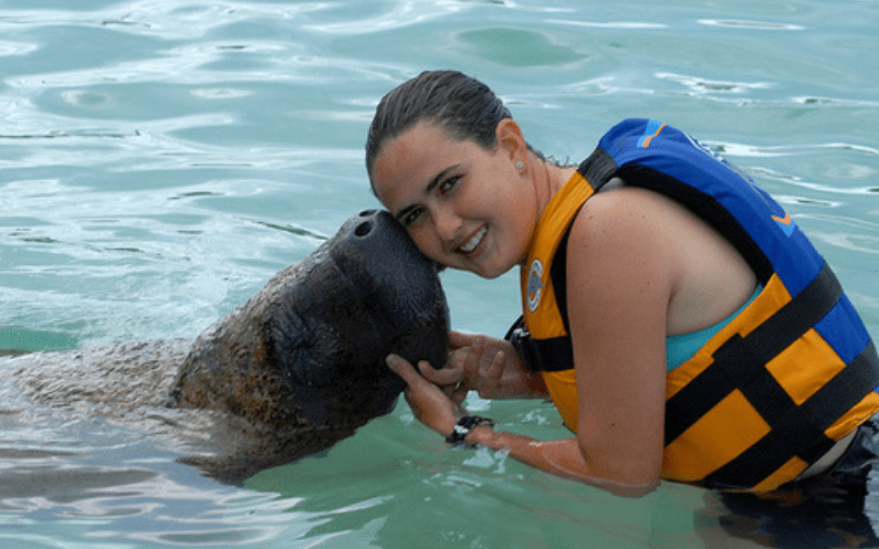 Manatee kiss Dolphin Discovery 
