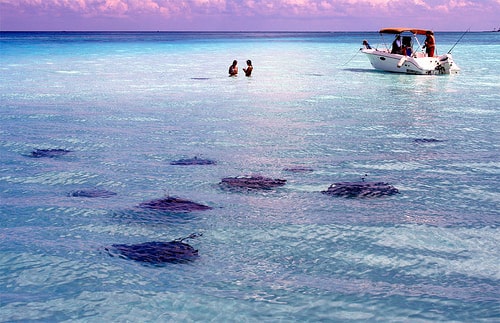 Stingray city