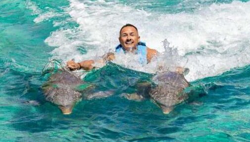 swim with dolphins in cozumel