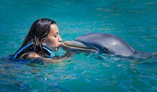 swim with dolphins in isla mujeres
