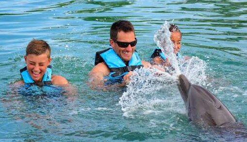 swim with dolphins in jamaica