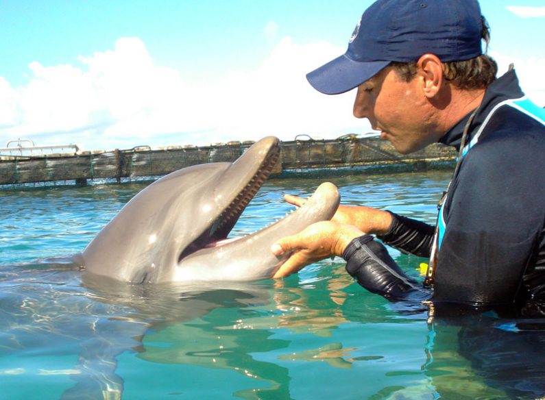 interview-with-a-marine-mammal-specialist