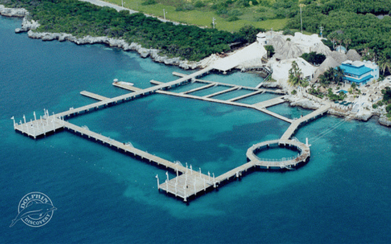 Dolphin Discovery Isla Mujeres