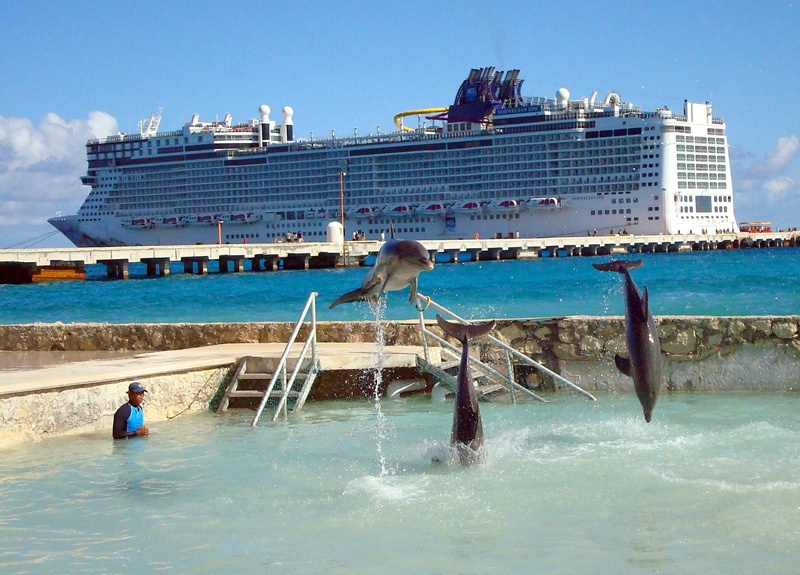 Dolphin Discovery Costa Maya