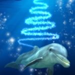 Dolphin Discovery 2010