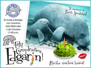 Baby Manatee Edgar Dolphin Discovery