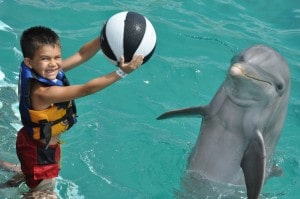 Dolphin Ball game 