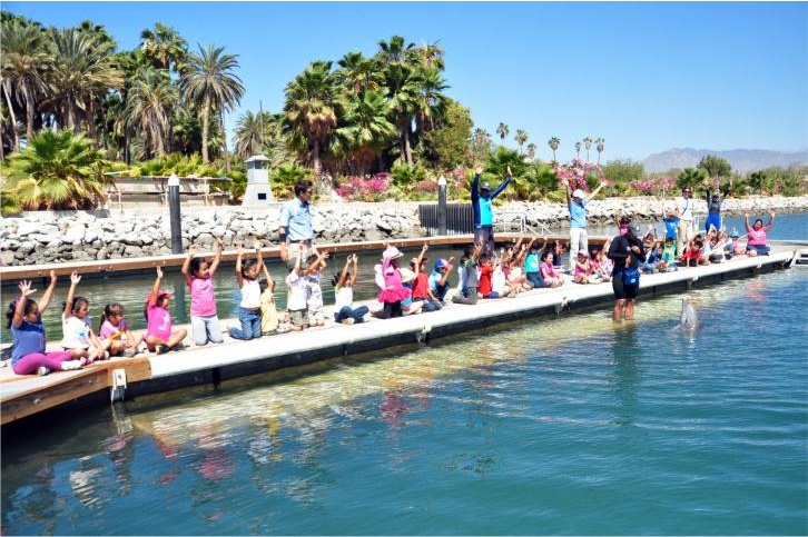 School group visits Dolphin Discovery Los Cabos