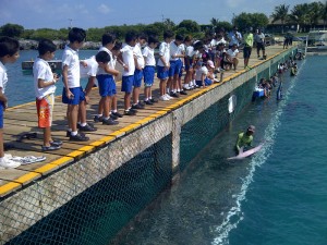School children educational visit to Dolphin Discovery