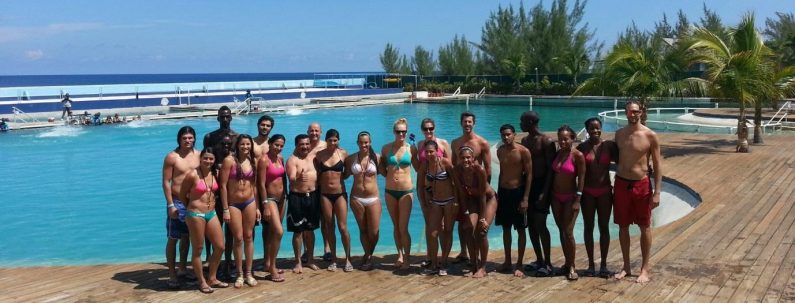 Norceca Volleyball Players
