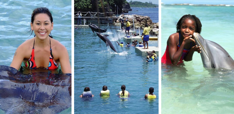 jamaica, Dolphin Discovery