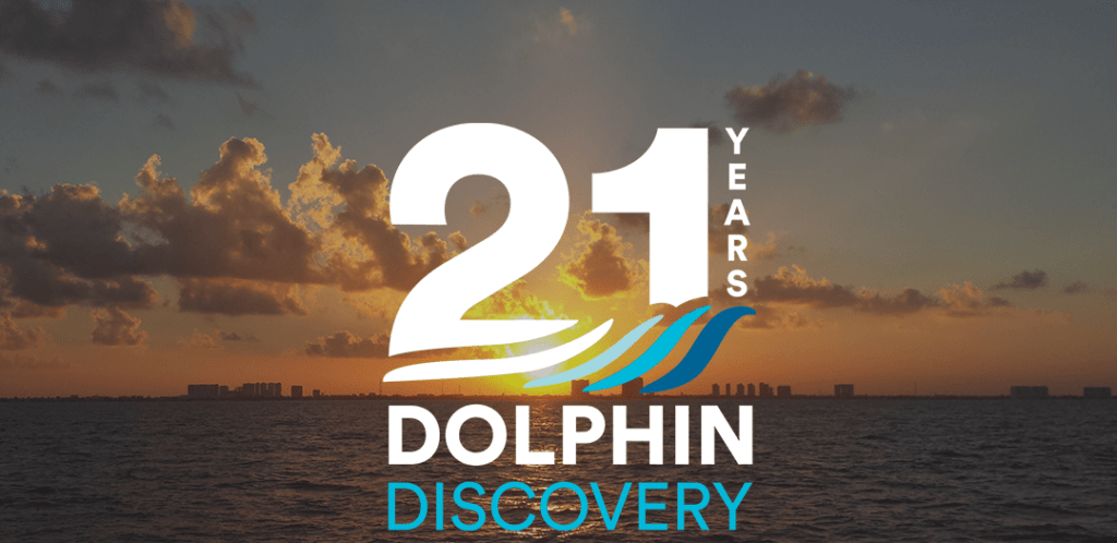 21years Dolpjin Discovery