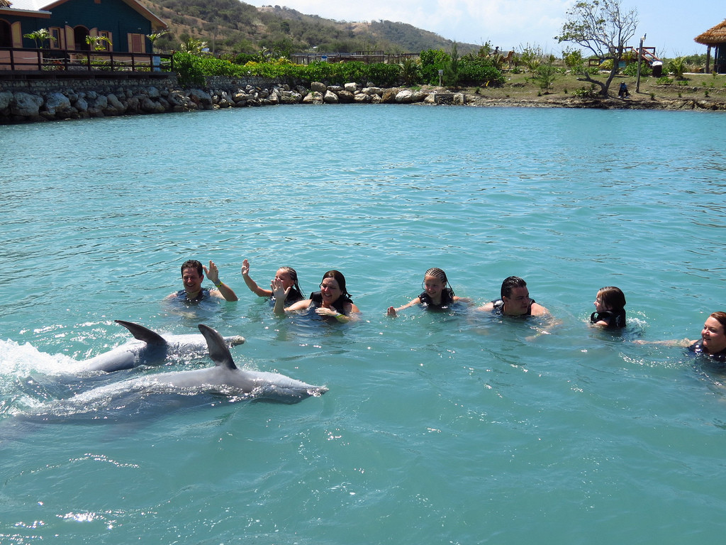 People swiming with a dolphin in dolphin cove ocho rios