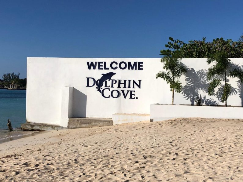 Welcome to Dolphin Cove