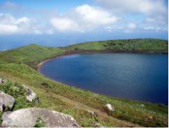 Lagoon Junco St. Kitts