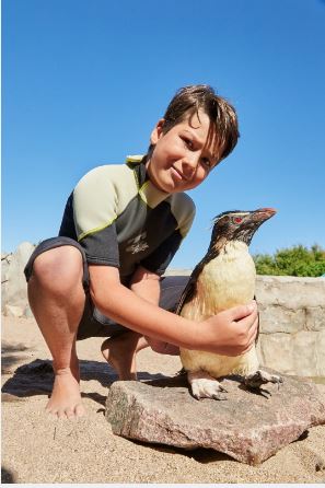 Penguins in Aquarium