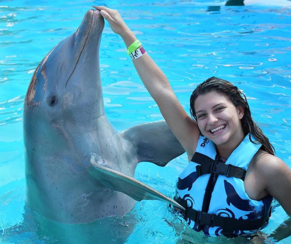 Swim with dolphins