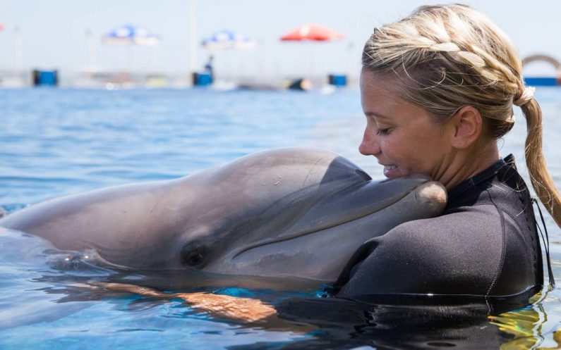 Marineland joins Grupo Dolphin
