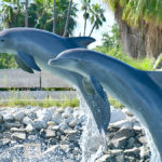 best-tours-in-Los-Cabos