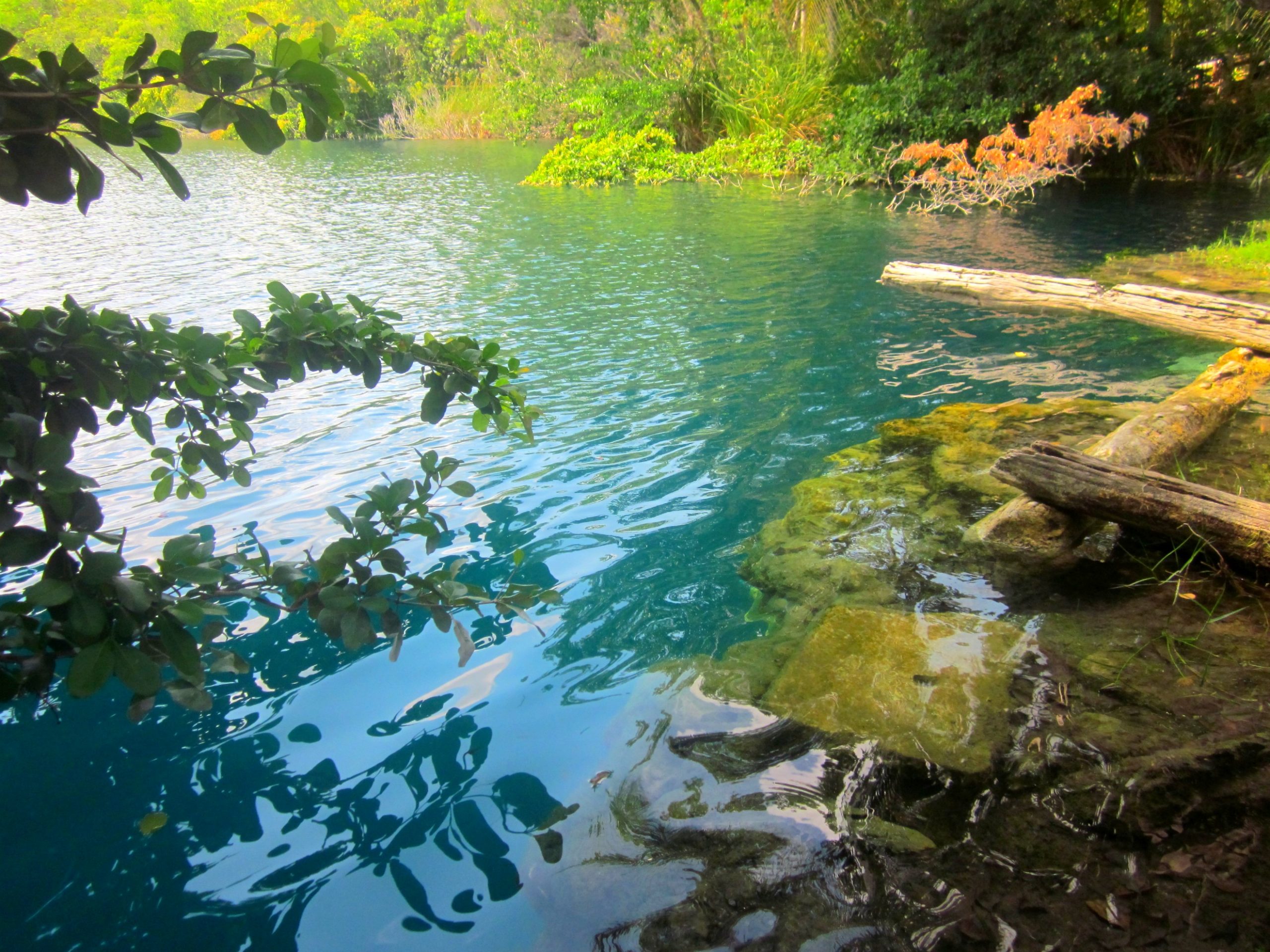 Discover Bacalar