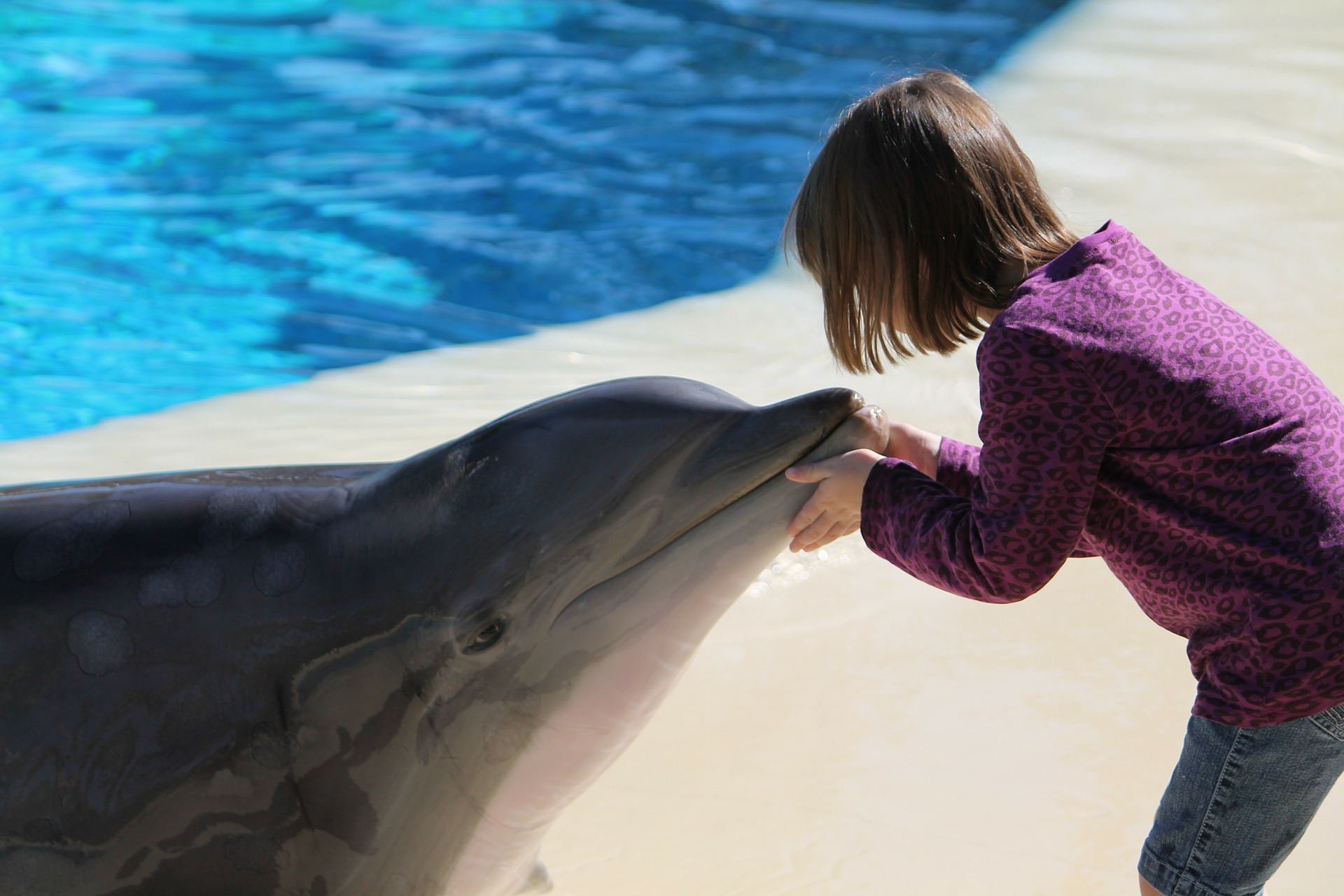 dolphin-girl-pool-children