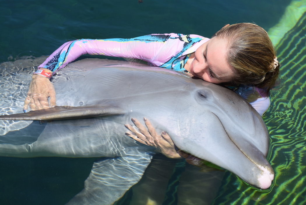 How much does it cost to swim with dolphins in Cozumel