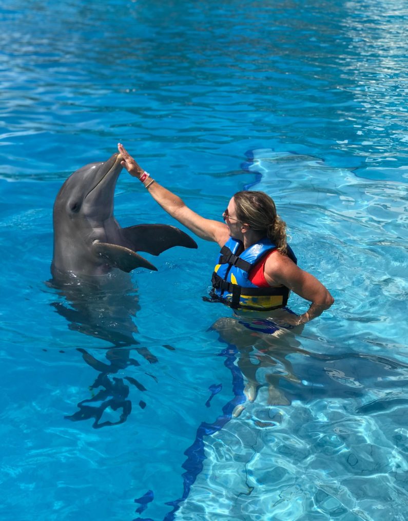 How much does it cost to swim with dolphins in Riviera Maya?