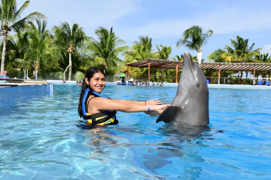 nadar con delfines en playa del carmen