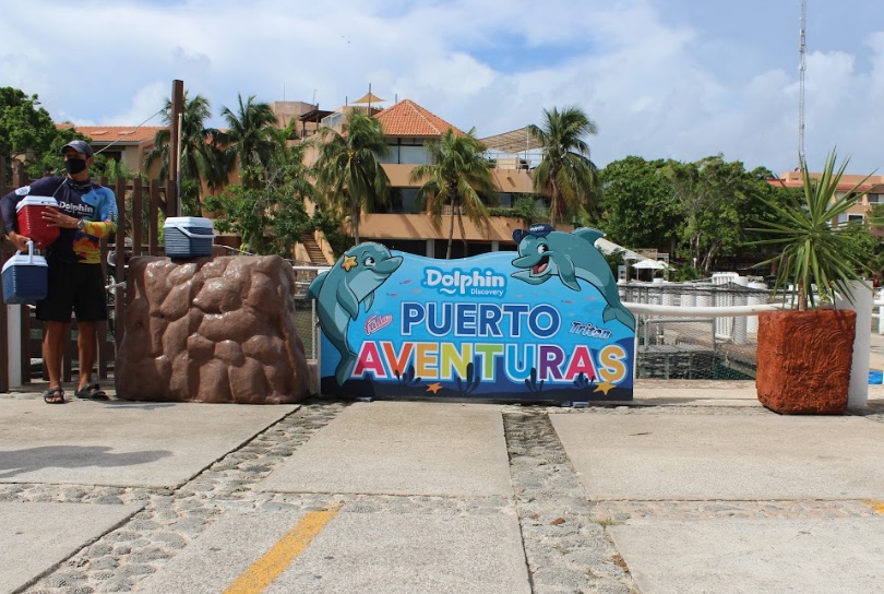 dolphin discovery riviera maya puerto aventuras