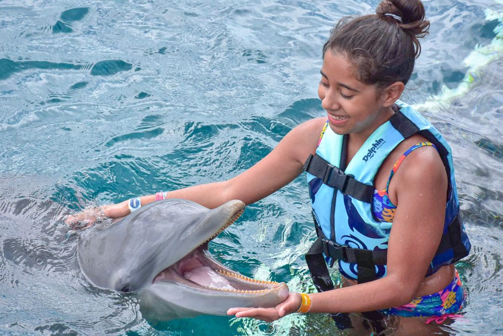 Shore Excursions in Cozumel