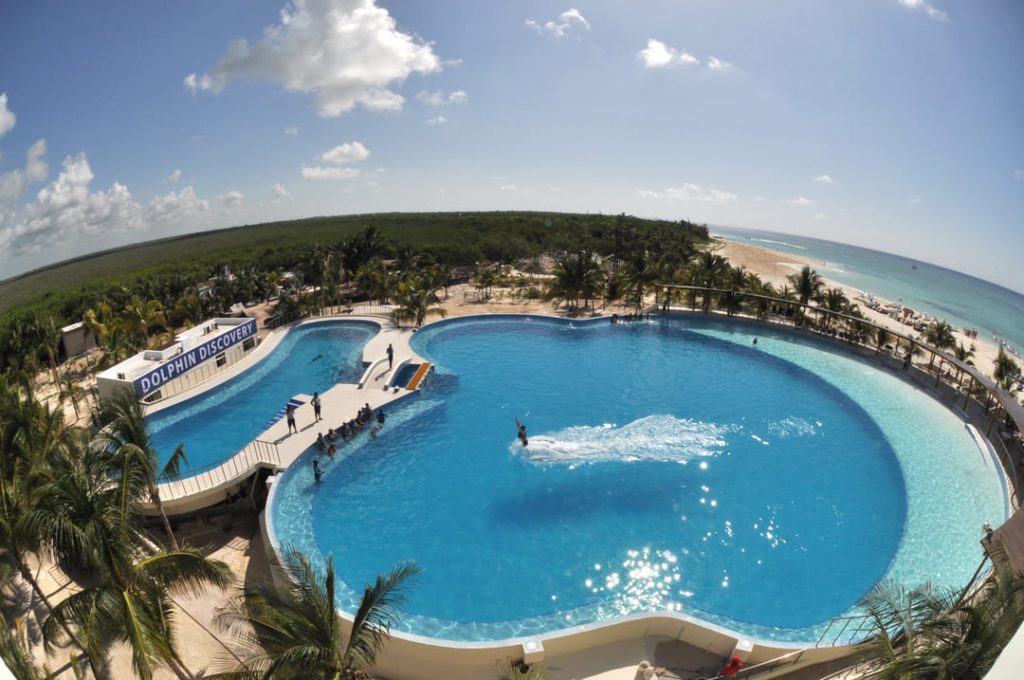 Places to swim with Dolphins in Playa del Carmen