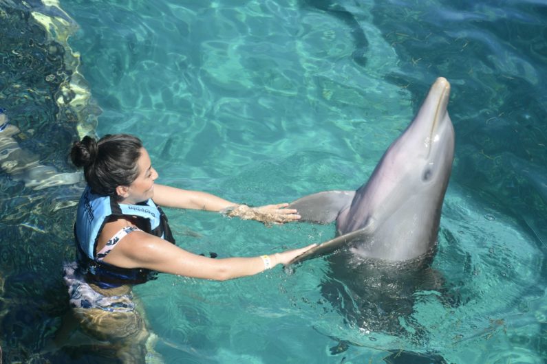 Woman likes to swim with Dolphins in Cancun