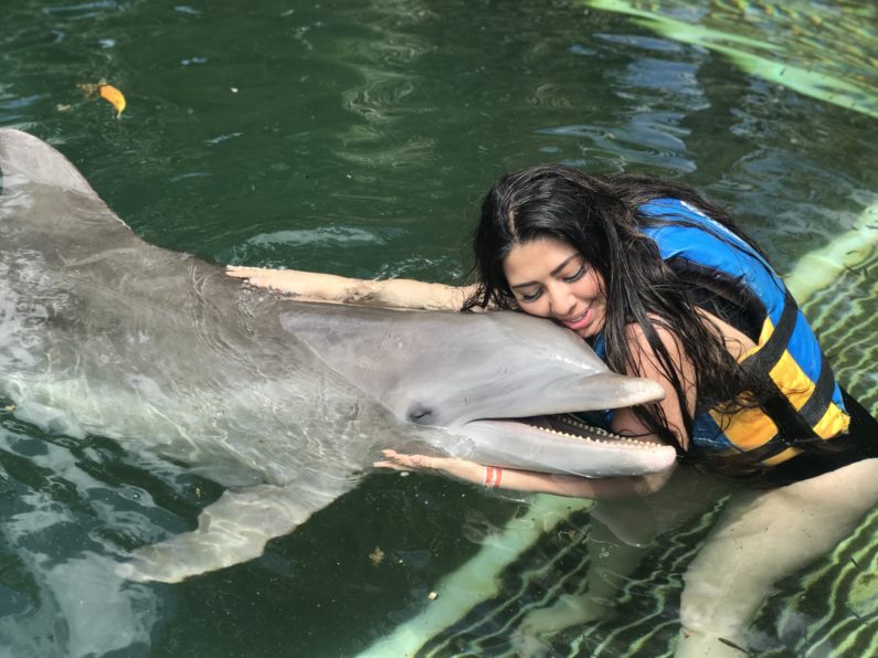 dolphin discovery riviera maya experience with a woman