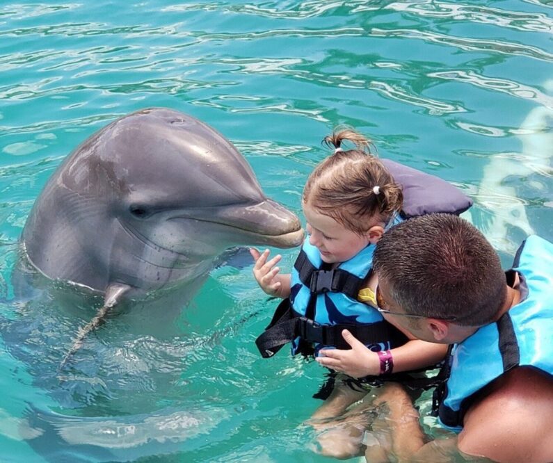 girl do swim with dolphins