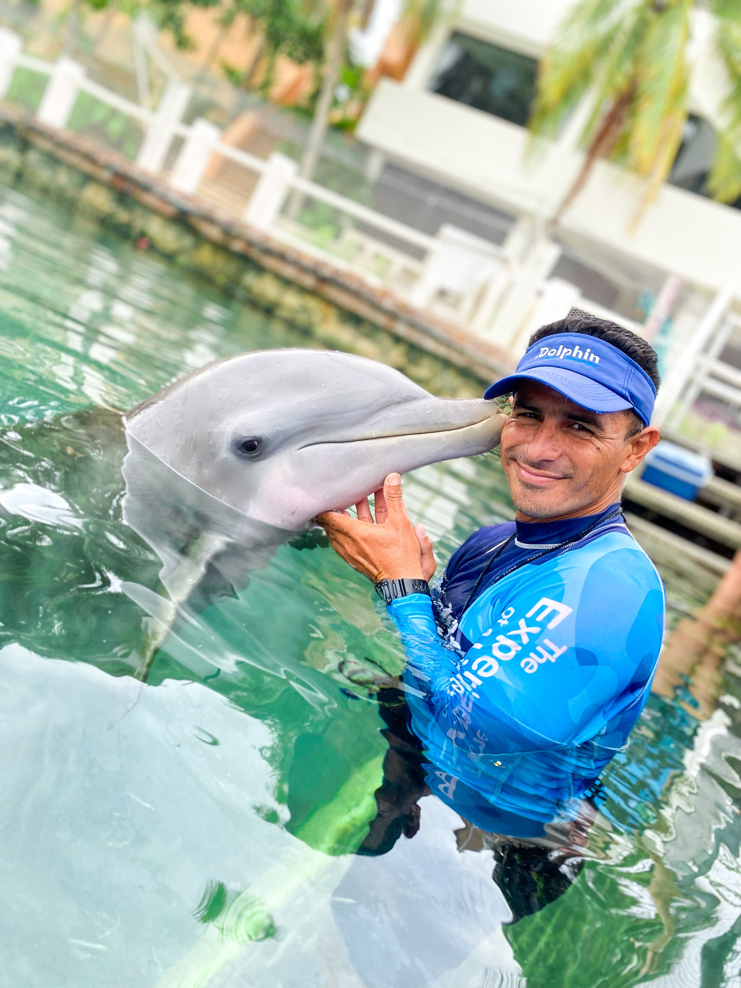 specialist swim with dolphins