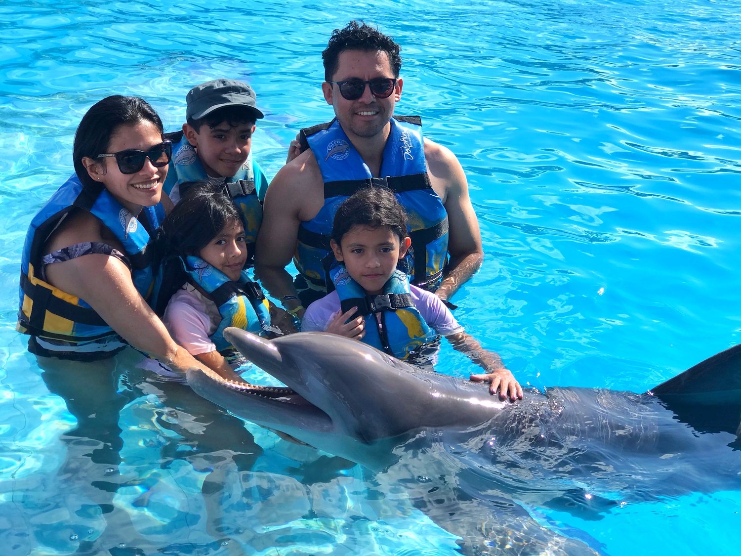 swim-with-dolphins-in-cancun-with-kids