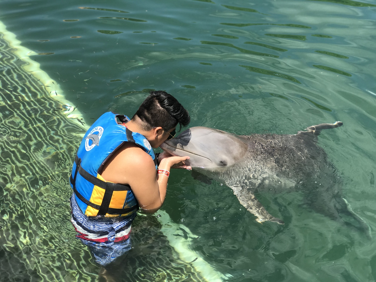 man swim with dolphins in cancun and riviera maya