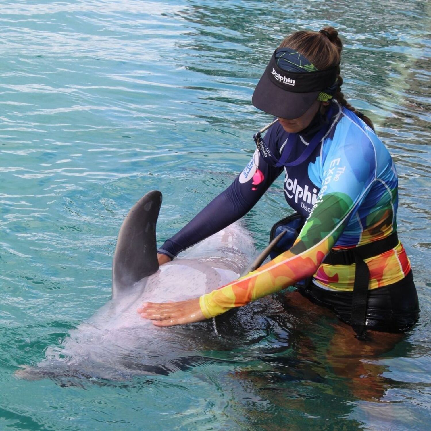 specialist-in-a-swim-with-dolphins-in-cancun
