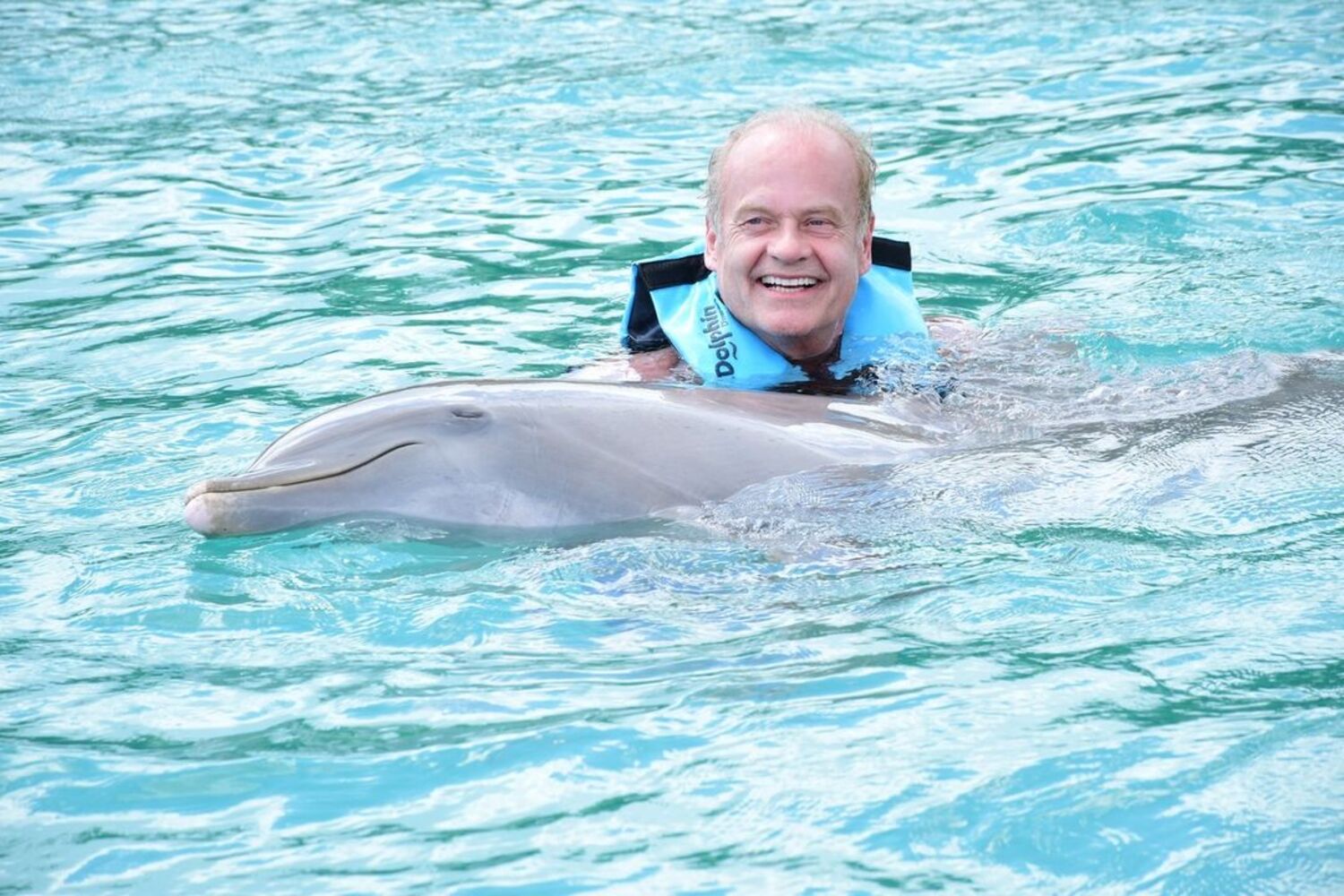 why-should-i-swim-with-dolphins-in-cancun
