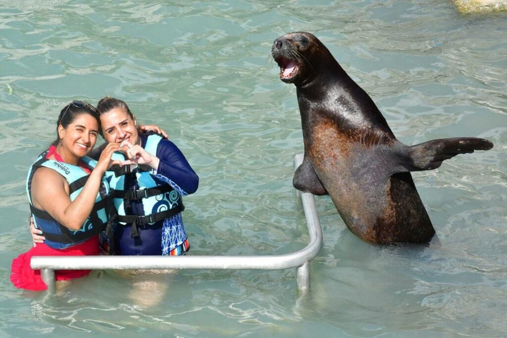 sea lion and women on the ocean