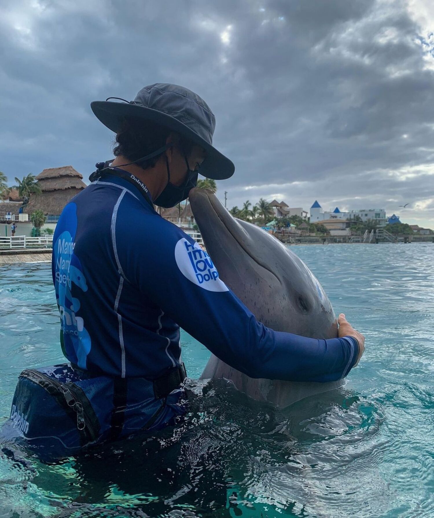 what-do-the-dolphins-eat-at-dolphin-discovery