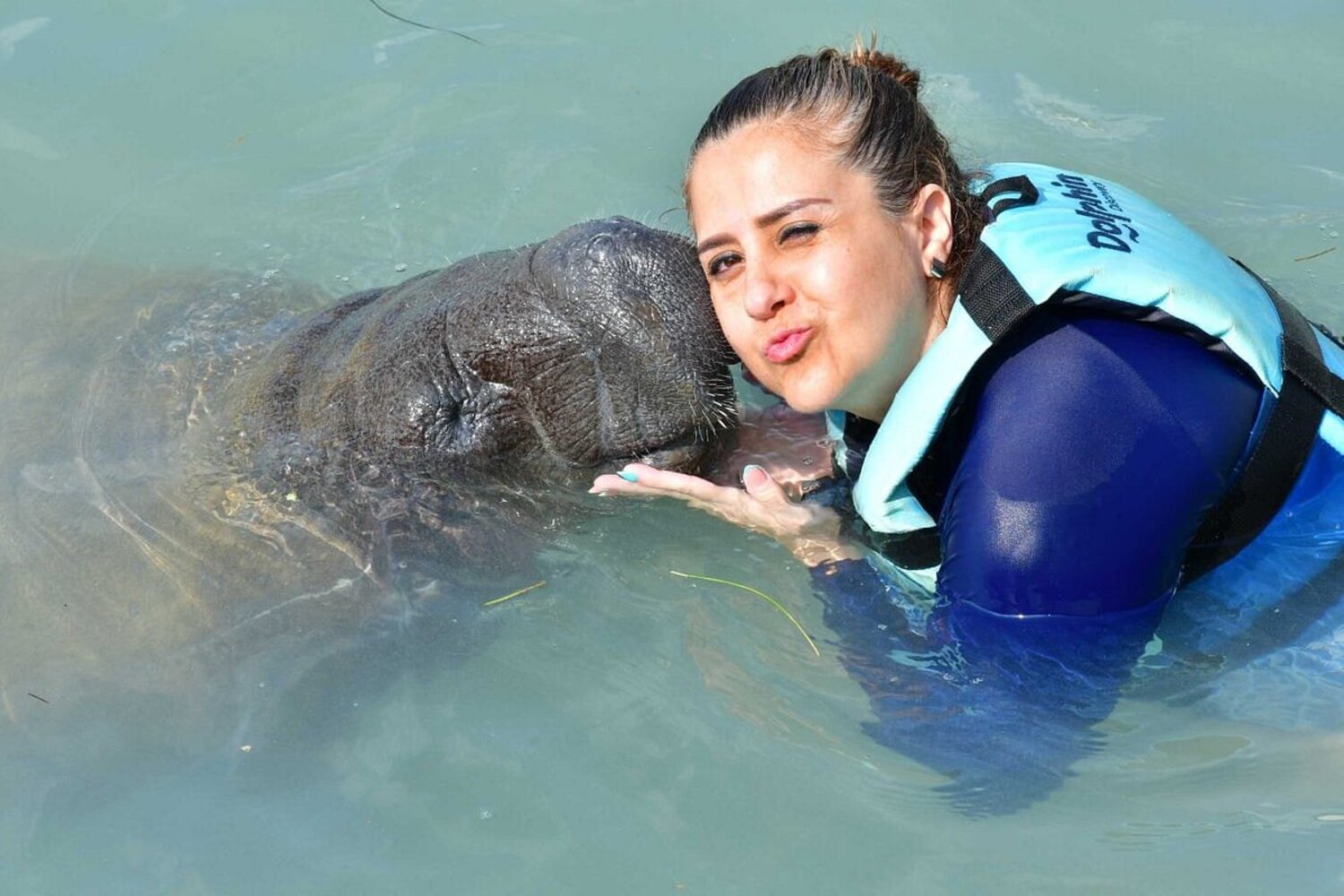 interact-with-manatees