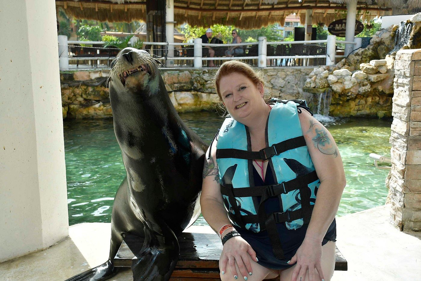 sea-lions-in-cancun-isla-mujeres