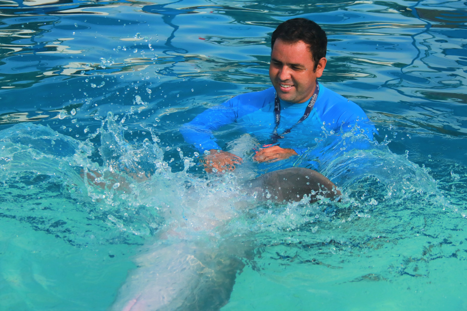 what-should-i-study-to-take-care-of-dolphins