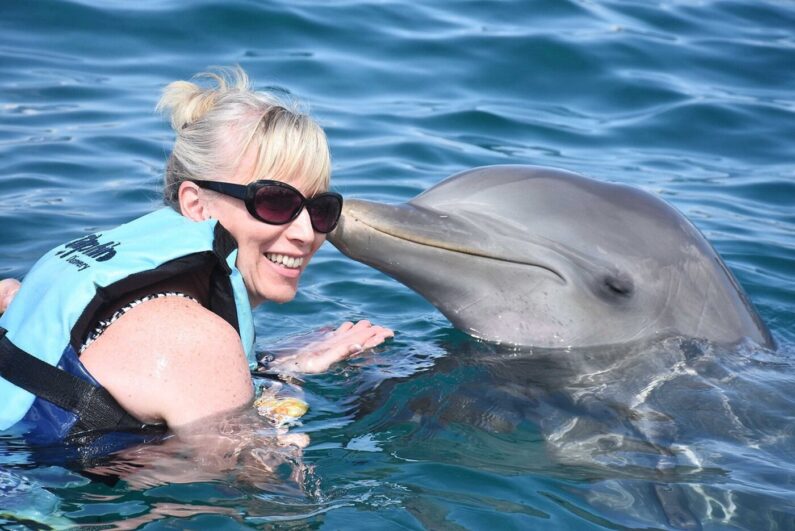 swim-with-dolphins-in-riviera-maya