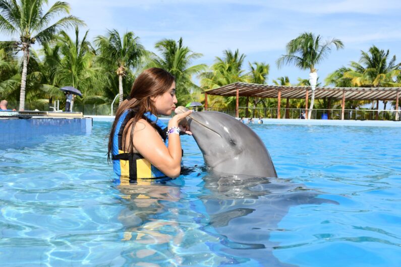 swimming-with-dolphins-in-playa-del-carmen